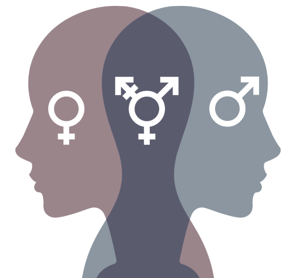 Gender ideology, a topic of discussion